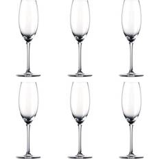 Rosenthal Glas Rosenthal Thomas Divino Champagneglas 19cl 6st