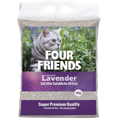 Four Friends Lavender