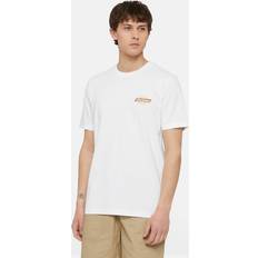 Dickies Unisex T-shirts & Linnen Dickies Ruston Short Sleeve T-Shirt Man White/pale Green