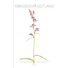 Naturvetenskap & Teknik Böcker Orkidéer på Gotland (Inbunden, 2021)