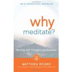 Why Meditate? [With CD (Audio)] (Ljudbok, CD, 2010)