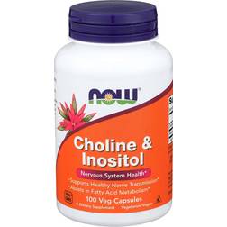 Now Foods Choline & Inositol 500mg 100 st