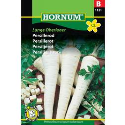 Hornum Parsley Root