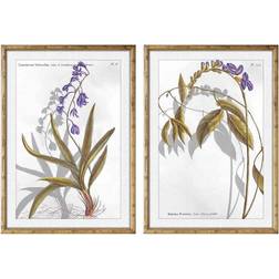 Dkd Home Decor Tavla Botaniska växter (50 x 2 x 70 cm) (2 pcs) Tavla