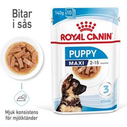 Royal Canin Maxi Puppy Wet