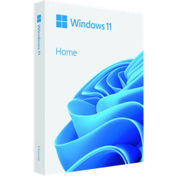 Microsoft Windows 11 Home - 64-bit