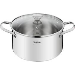 Tefal cook eat stewpot20cm stain.