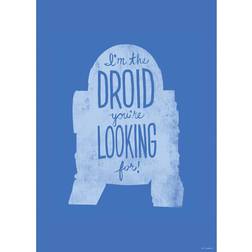 Komar Star Wars R2D2 50x70cm -022