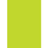Bungers Färgat Papper Gräsgrön 80g A4 50pcs • Se pris