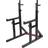 Gorilla Sports Multi Squat Rack