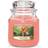 Yankee Candle The Last Paradise Doftljus 411g