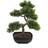 Europalms Bonsai Pine Konstgjord växt