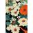 Pelcasa Asian Flowers Poster 70x100cm