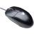 V7 Standard Mouse Black (M30P10-7E)