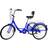 Noaled Three Wheel Cruiser Bike 24in Adult Tricycle With Shopping Basket & Seat Backrest For Seniors Women Men - Blue