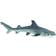 Safari Whitetip Reef Shark 100100