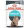 Royal Canin Urinary Care Gravy