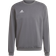 adidas Entrada 22 Sweatshirt Men - Team Grey Four