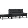 vidaXL 806684 Loungeset, Bord inkl. 2 Soffor