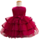 Shein Wedding Diary For Baby Girls - Butterfly Knot Princess Dress, Net Puffy Skirt Formal Dress For Party, Suitable For Birthday Party, Evening Performance, Wedding, Full Moon Ceremony, Baptism, And First Birthday Celebration Throughout The Year